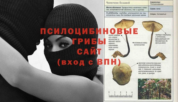 гидропоника Пестово