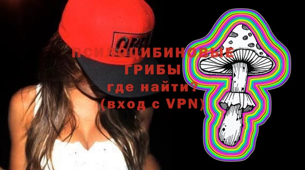 spice Осинники